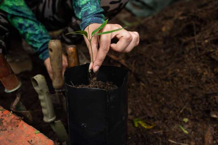 Viernes 30 de mayo, cierran inscripciones para participar en programa Donativos Ambientales Ford&nbsp;2025