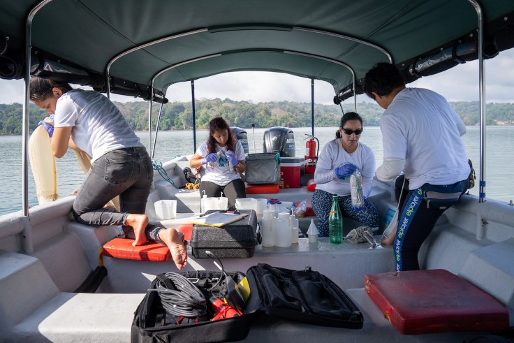 Impulso a jóvenes científicos: Proyecto financiado por SENACYT reveló diversidad del plancton en Canal de&nbsp;Panamá