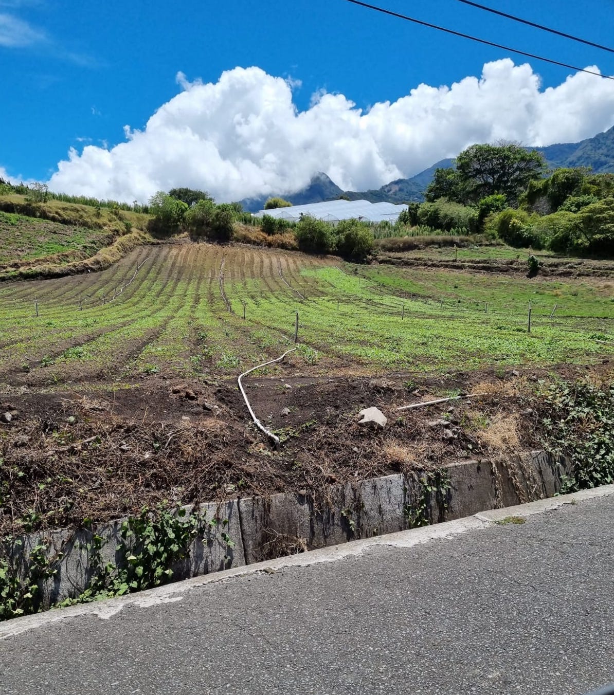 Abogan por nueva visión de políticas de desarrollo productivo para América Latina y&nbsp;Caribe
