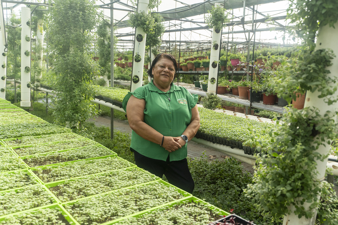 Proyecto Bi Bank-INCAE: Empresarias de Guatemala, El Salvador, Honduras y Panamá, impulsaron&nbsp;liderazgo