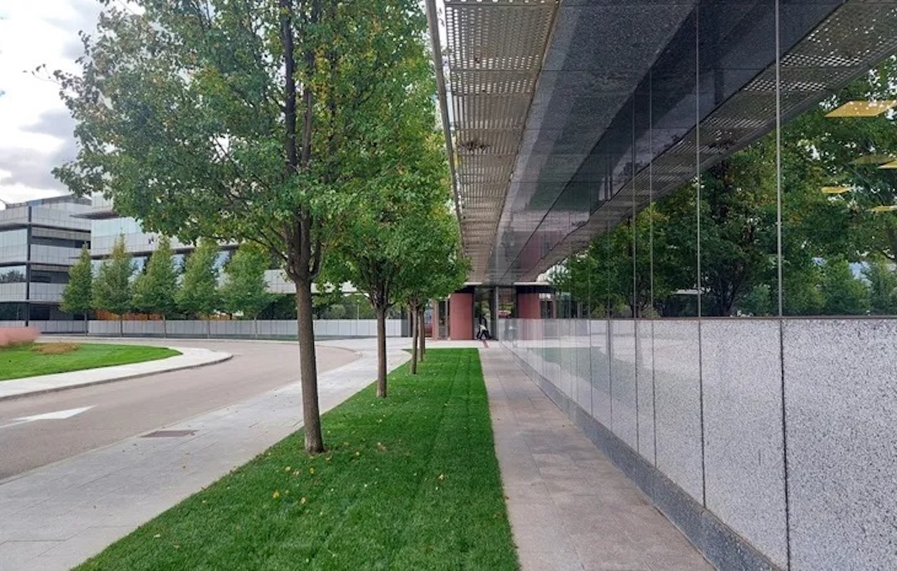 MAPFRE y Lobelia Earth trabajo conjunto, uso de analítica climática avanzada para mejorar toma de&nbsp;decisiones