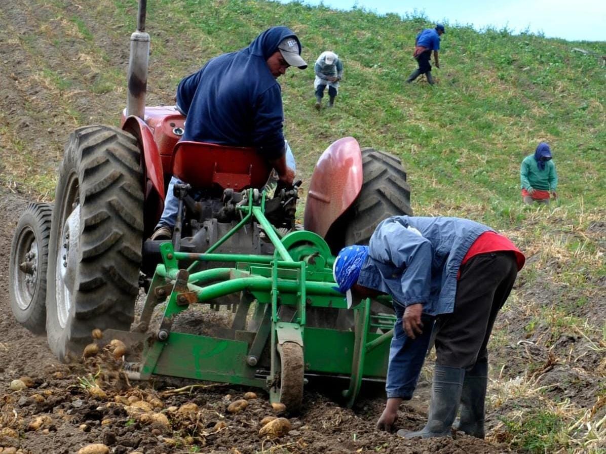En su LIII aniversario de fundación, BDA se prepara para su transformación al&nbsp;IFA