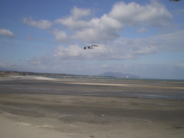 El Centroamérica Big Day 2026 será el 14 de marzo 