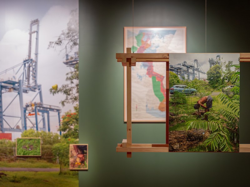 “El jardín de Mr. Brown” de Tova Katzman, exposición temporal en Museo del&nbsp;Canal